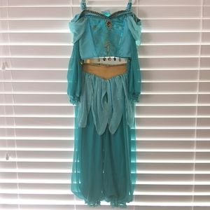 Disney Jasmine Costume (From Aladdin)